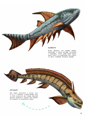 От тираннозавра к петуху! Большая книга эволюции животного мира