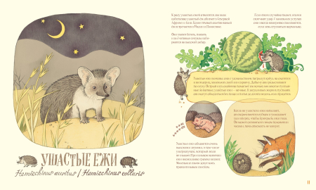 Удивительные уши