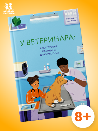 У ветеринара: как устроена медицина для животных