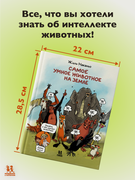 Самое умное животное на Земле