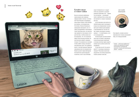 Как кошка приручила человека: история кошек и людей