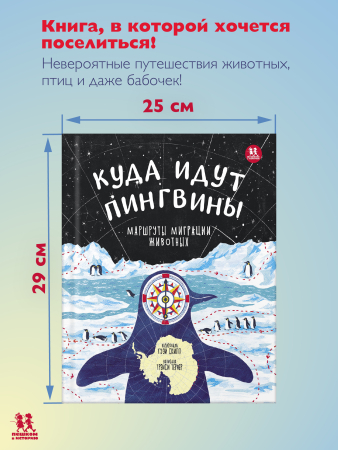 Куда идут пингвины?