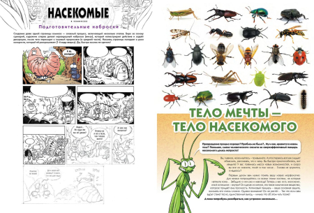 Насекомые в комиксах. Том 2.