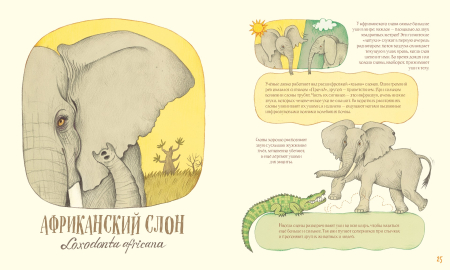 Удивительные уши