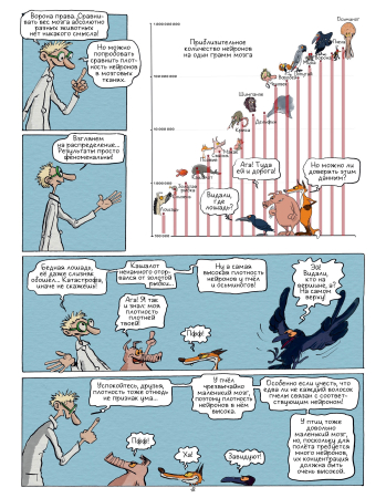 Самое умное животное на Земле