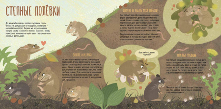 Папа, мама, я – звериная семья