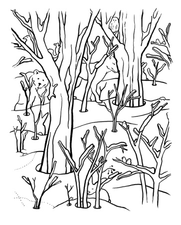 Зимняя книжка