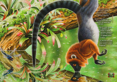 Ида: Взгляд из прошлого