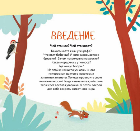 Чей это нос? Чей это хвост?