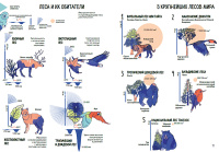 Планета Земля. Мир вокруг нас в инфографике
