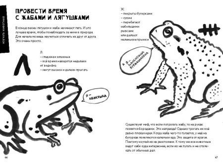 50 познавательных игр на природе