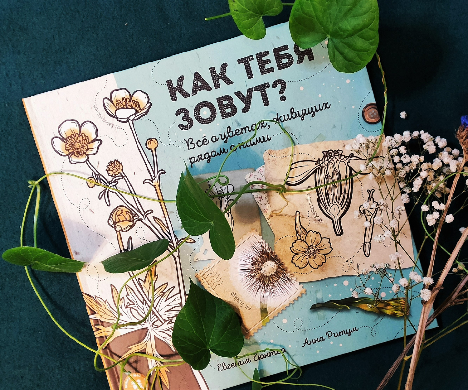 Поздравляем с 1 мая! Книги для отдыха на даче и другие полезные подборки