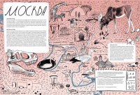 Дикие города