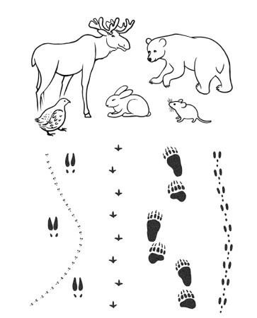 Зимняя книжка