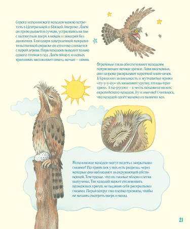 Гениальные глаза