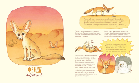 Удивительные уши