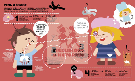 Учимся вместе с Олли и Молли. Человек