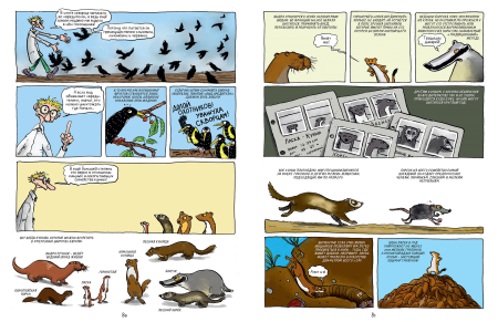 Вредные или полезные? Животные с дурной репутацией