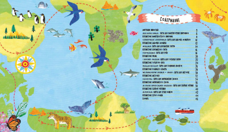 Куда идут пингвины?