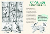 На грани исчезновения: животный мир Земли