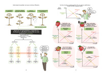 Экономика в комиксах. Том 2.