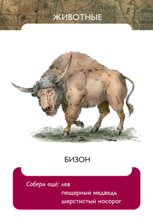 Жили-были в каменном веке. Развивающая карточная игра