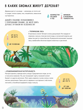 Тайны деревьев