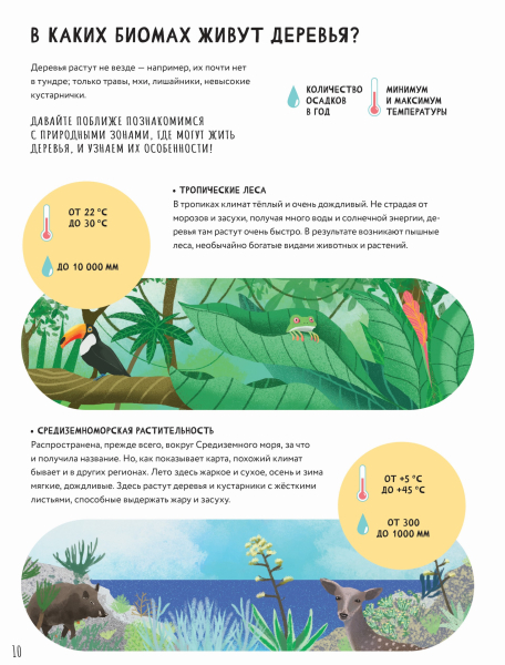 Тайны деревьев